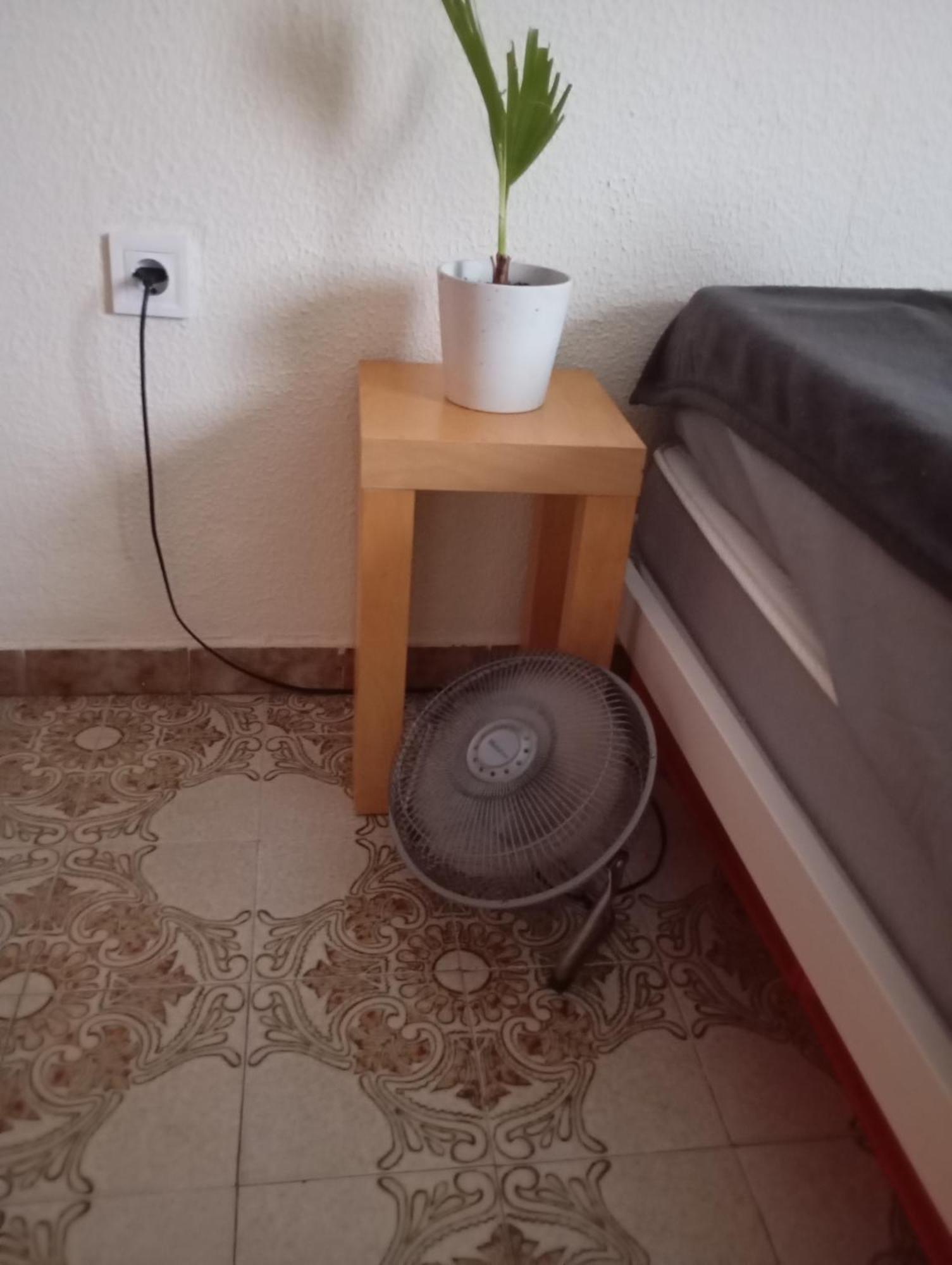 Grosses Modernes Zimmer "Silber" Fuer 2 Personen Und Katzenliebhaber Valensiya Dış mekan fotoğraf