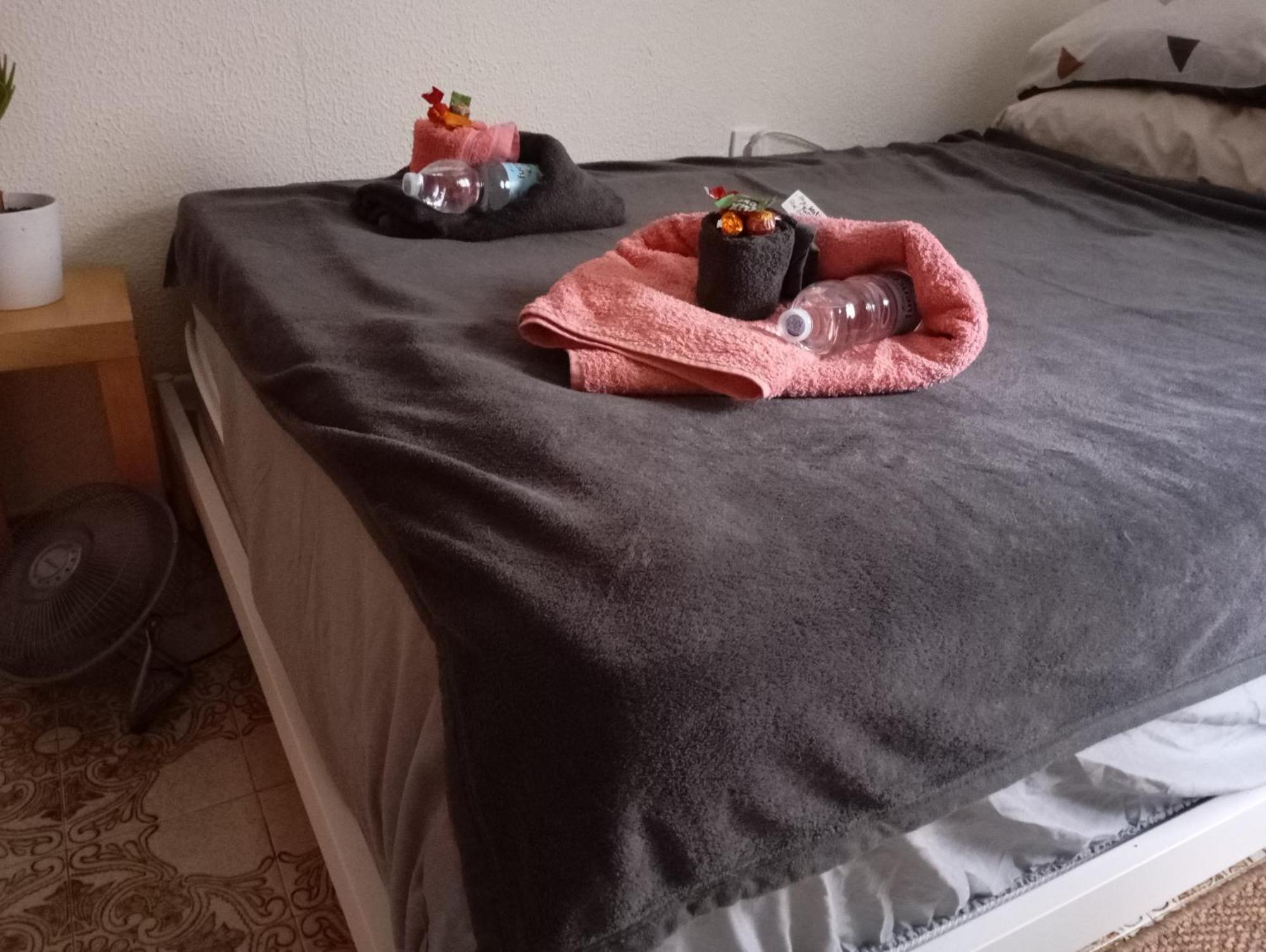 Grosses Modernes Zimmer "Silber" Fuer 2 Personen Und Katzenliebhaber Valensiya Dış mekan fotoğraf